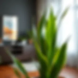 The Versatility of Artificial Snake Plant Stems: A Comprehensive Exploration Introduction