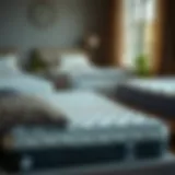 Diverse Twin Mattress Toppers An assortment of twin mattress toppers showcasing various materials and designs