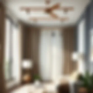 Diverse Styles of Flexi Curtain Rods Different styles of flexi curtain rods displayed in a room