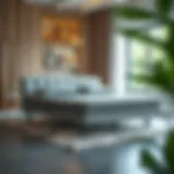 Understanding Queen Futon Mattresses with Springs: A Comprehensive Guide Introduction