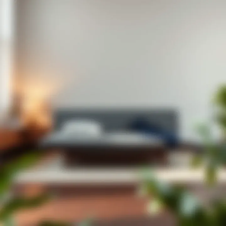 Notable Understanding Queen Futon Mattresses with Springs: A Comprehensive Guide