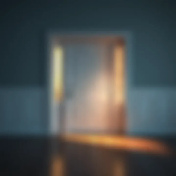 Understanding the Dimensions and Applications of a 36 by 96 Door Summary