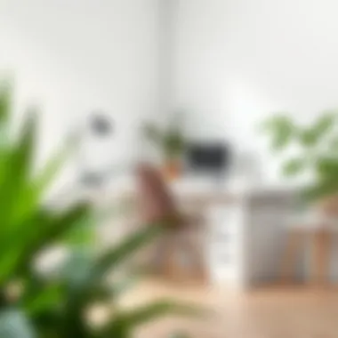 Minimalist workspace with a white desk and plants