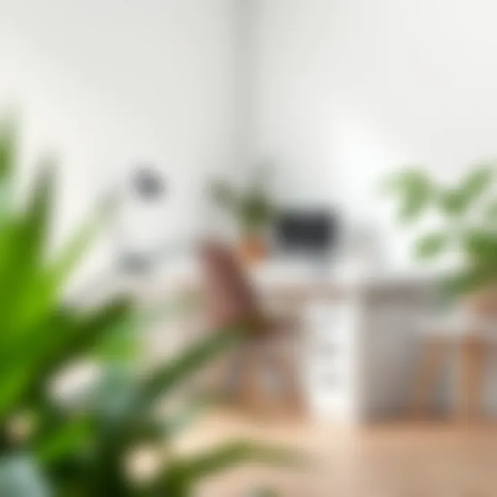 Minimalist workspace with a white desk and plants