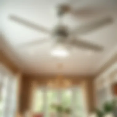 Enhancing Ambiance with a White Wicker Ceiling Fan in a Dining Area White wicker ceiling fan with light enhancing a dining area