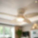 Elegant White Wicker Ceiling Fan in a Contemporary Setting Elegant white wicker ceiling fan in a modern living room